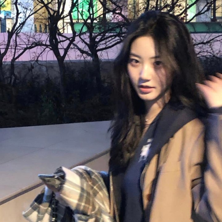 万圣德加的传奇 在线观看封面